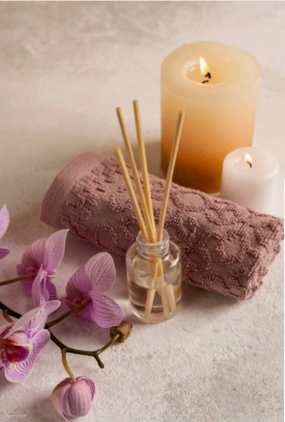 A Healthier Home, A Better Life: Your Guide to a Spotless Gentry Manor Home